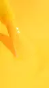 candy_neon_n41_macro_ig1.webp