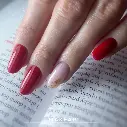 7931.webp